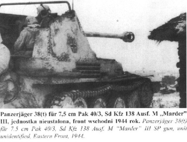 фото зимн.jpg